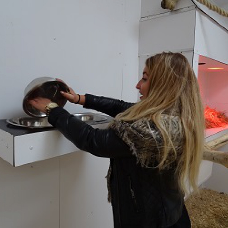 Animal caretaker for a day - De Zonnegloed - Animal park - Animal refuge centre 