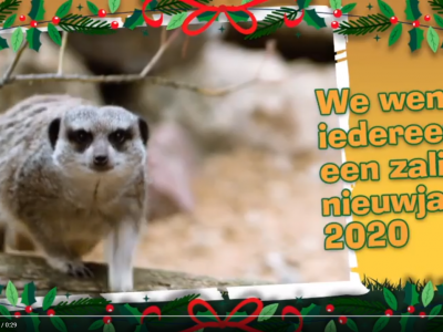 Beste wensen voor 2020