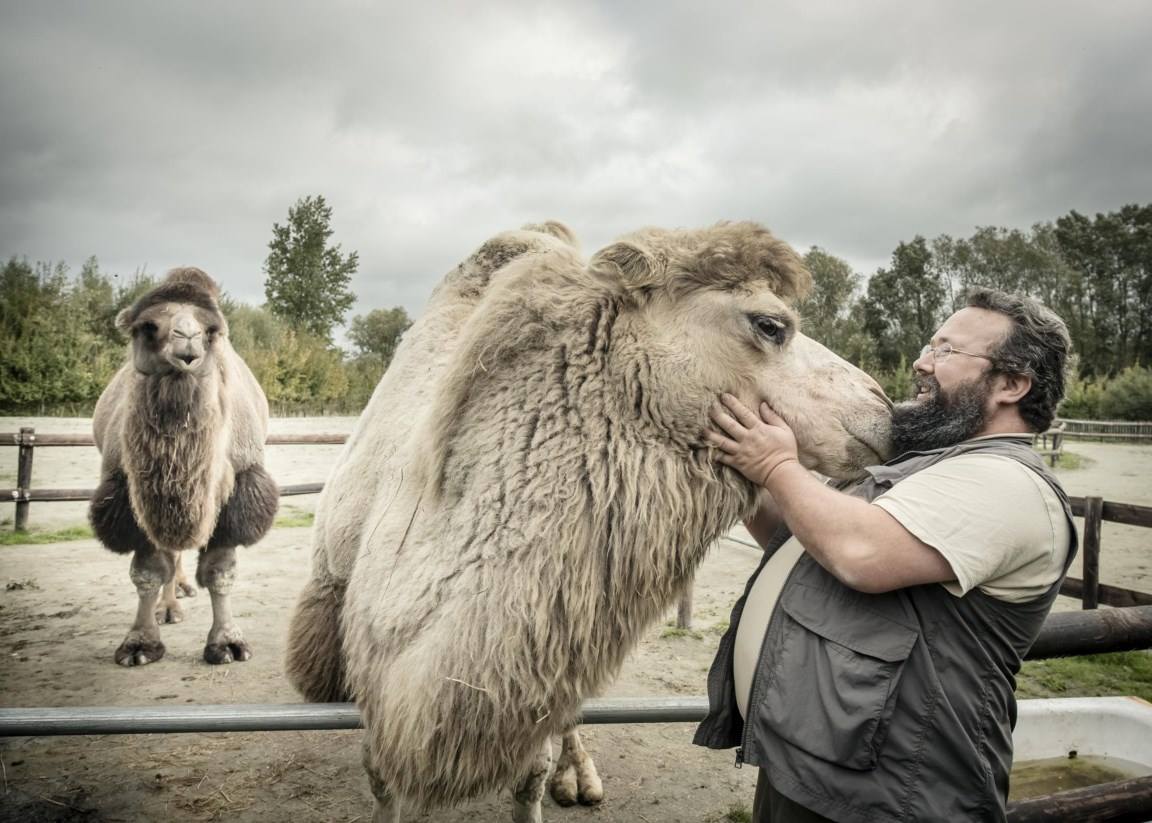 15/10/2017 - Geen enkele dierentuin heeft tien op tien - Nieuws - De